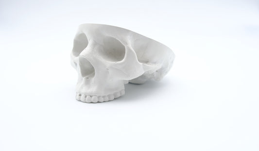 White Skull Ashtray