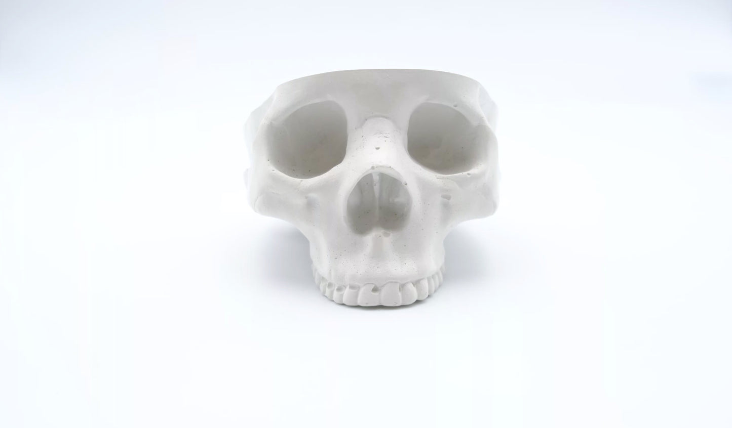 White Skull Ashtray