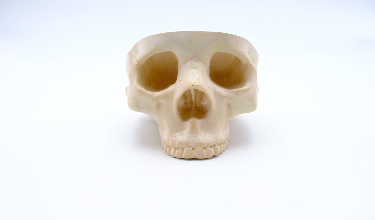 Yellow Orange Skull Ashtray