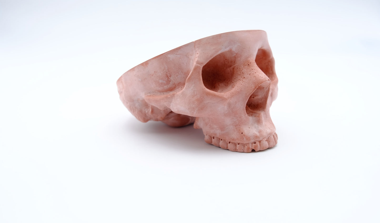 Terracotta Red Skull Ashtray